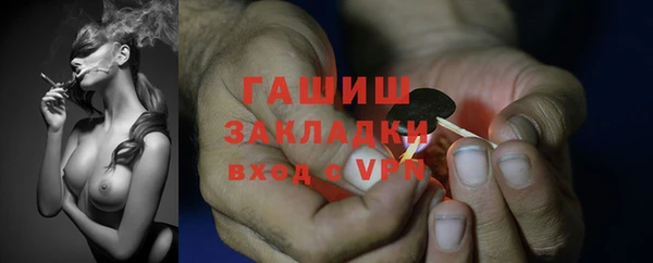 PSILOCYBIN Кодинск