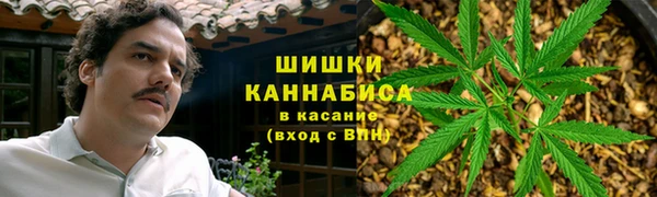 PSILOCYBIN Кодинск
